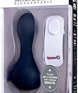 Screaming O Affordable Rechargeable Moove Remote